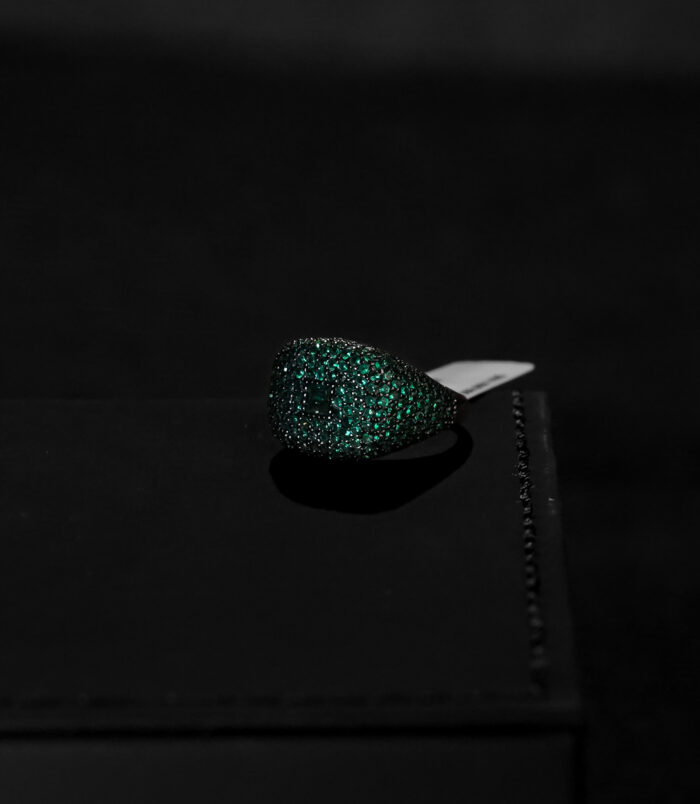 DSC07085