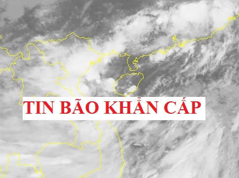 Tình Hình Bão Số 3 Yagi Tiến Sát Vào Quảng Ninh